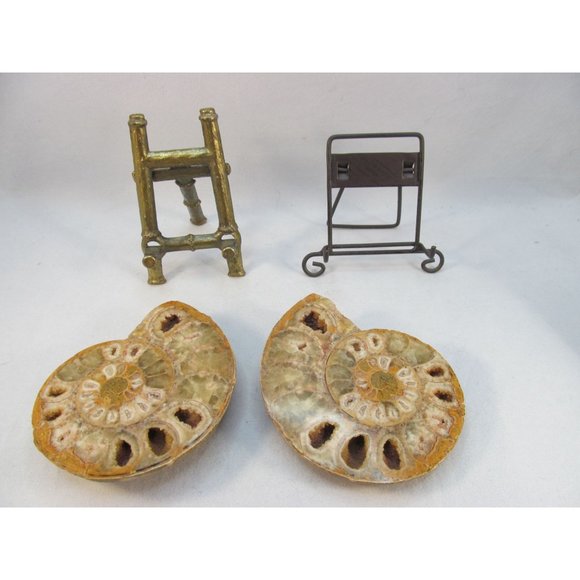 Cut Split Pair Polished Ammonite Fossil Crystal with Stands Small 3" x 2.5" - Picture 14 of 15